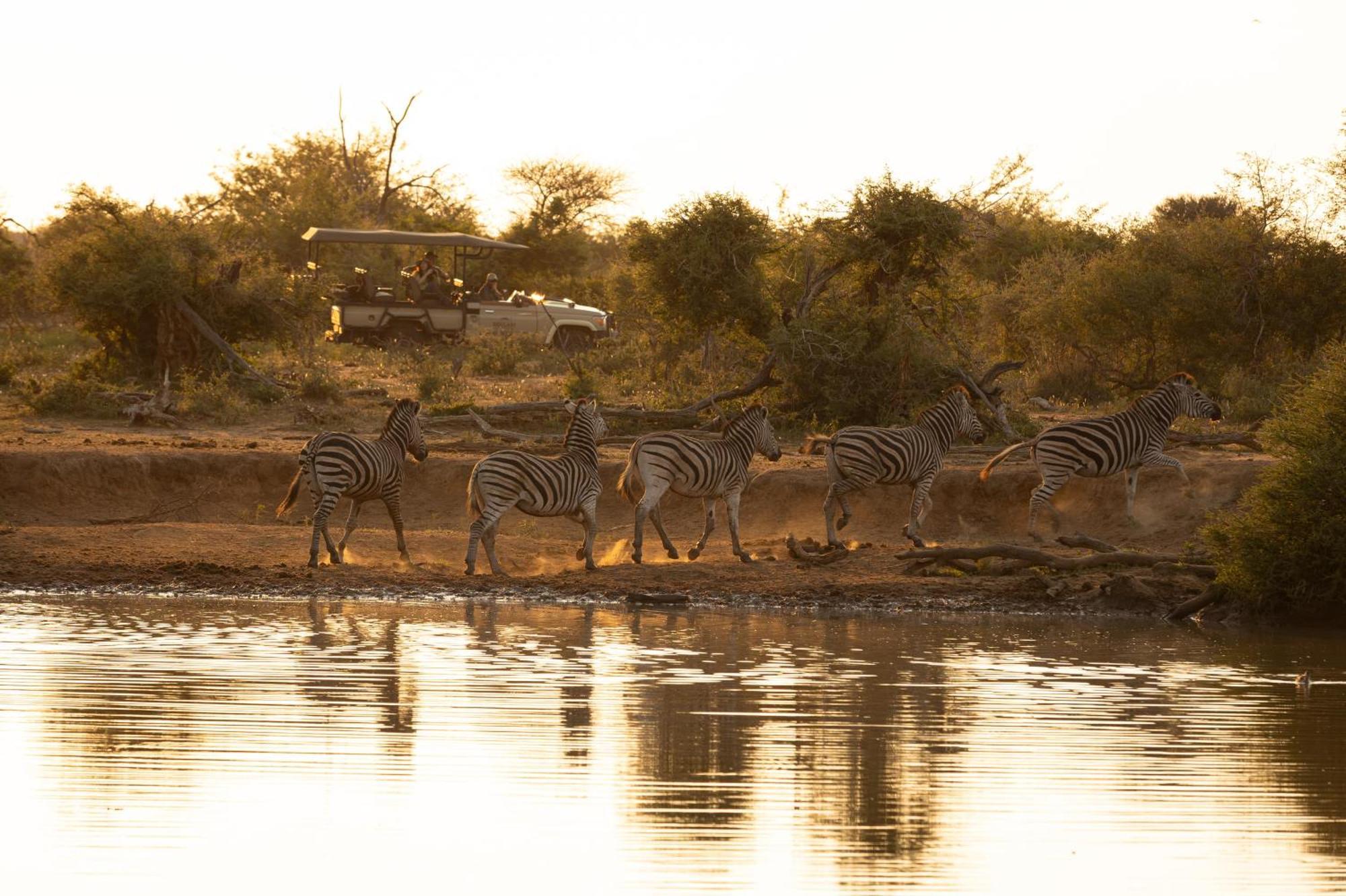 Rhulani Safari Lodge Заповедник Мадикве Экстерьер фото