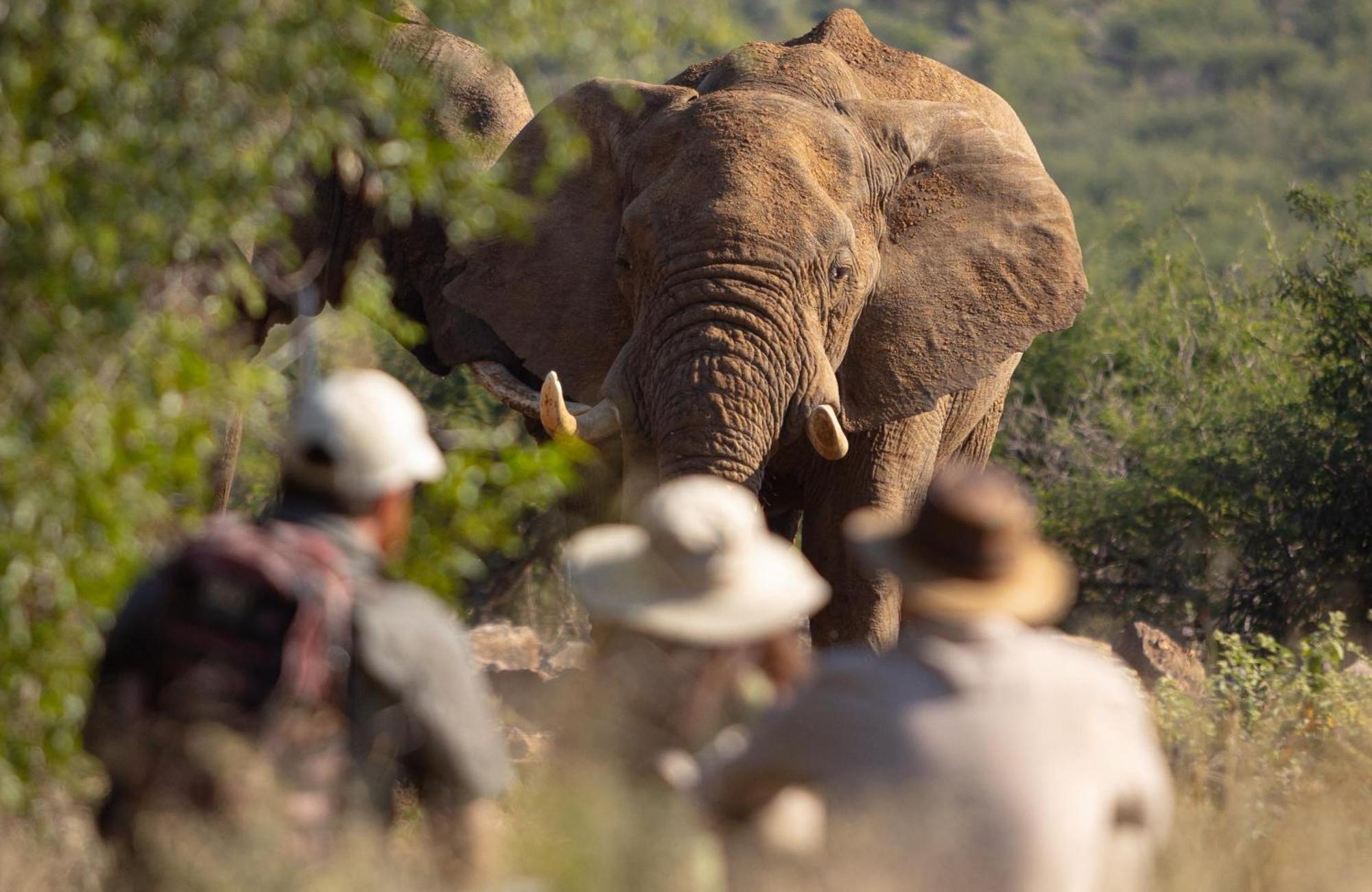 Rhulani Safari Lodge Заповедник Мадикве Экстерьер фото